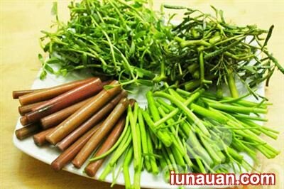 Ảnh minh họa 8 - Cách làm món lẩu mắm đậm đà, giản dị ngon tuyệt, khó cưỡng !