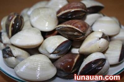 Ảnh minh họa 3 - Hướng dẫn cách làm ngao xào sả ớt ngon tuyệt đỉnh kungfu!