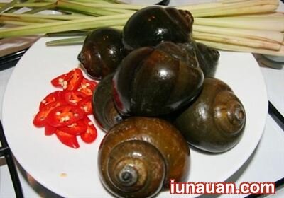 Ảnh minh họa 4 - Hướng dẫn cách làm ốc bươu nhồi thịt ngon tuyệt đổi vị cho ngày cuối tuần !