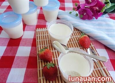 Ảnh minh họa 7 - Hướng dẫn chi tiết cách tự làm sữa chua càng ăn càng nghiền !