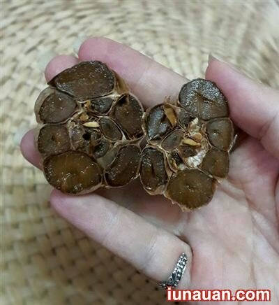 Ảnh minh họa 4 - Tự làm tỏi đen chữa bách bệnh tại nhà không hề khó !