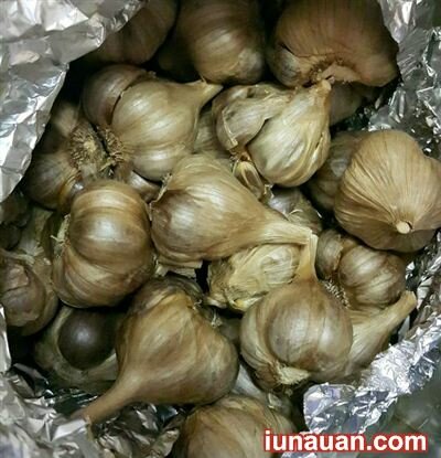 Ảnh minh họa 3 - Tự làm tỏi đen chữa bách bệnh tại nhà không hề khó !