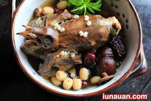Ảnh minh họa 4 - Thơm ngon tuyệt đỉnh với món chim bồ câu hầm thuốc bắc cực bổ dưỡng !