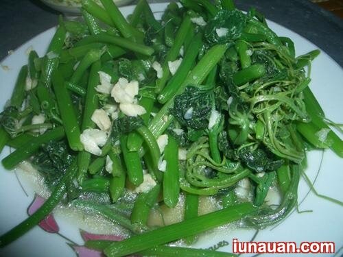 Ảnh minh họa 2 - Xanh mướt mát mắt với cách làm món rau bí xào tỏi cả nhà cùng mê mẩn !