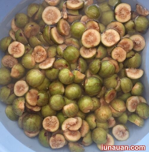 Ảnh minh họa 4 - Chống ngấy ngày hè với món sung muối xổi giòn tan ngon miệng !