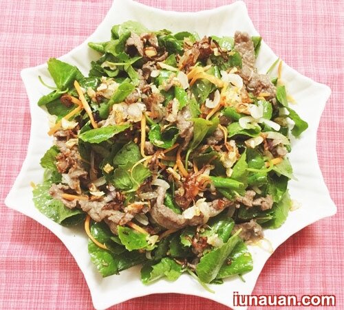 Ảnh minh họa 2 - Thanh mát, bổ dưỡng món gỏi rau má thịt bò cho bữa cơm thêm ngon miệng !