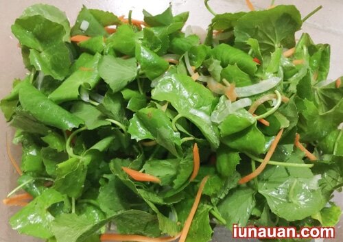 Ảnh minh họa 9 - Thanh mát, bổ dưỡng món gỏi rau má thịt bò cho bữa cơm thêm ngon miệng !