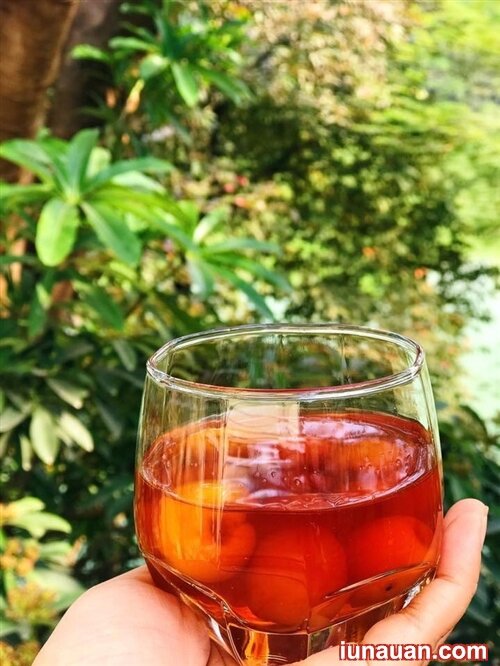 Ảnh minh họa 8 - Hướng dẫn cách làm món rượu mơ Nhật Bản ngon tuyệt không hề khó !