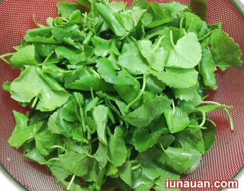 Ảnh minh họa 4 - Thanh mát, bổ dưỡng món gỏi rau má thịt bò cho bữa cơm thêm ngon miệng !