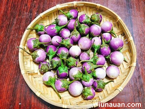 Ảnh minh họa 3 - Hướng dẫn cách làm món cà muối giòn ngon, chua thanh, không bị nổi váng !