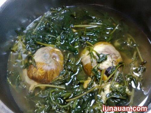 Ảnh minh họa 5 - Cách làm món trứng vịt lộn hầm ngải cứu - món ăn tốt cho sức khỏe !