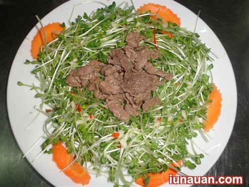 Ảnh minh họa 2 - Nhẹ nhàng thơm ngon với món salad rau mầm trộn thịt bò !