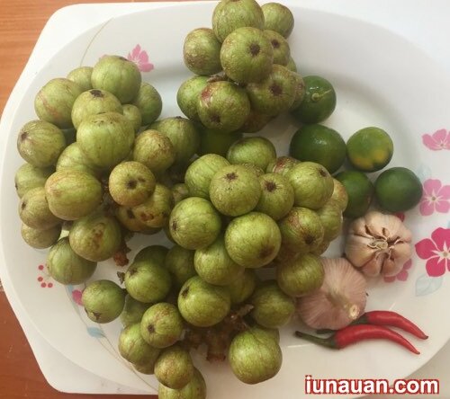 Ảnh minh họa 3 - Chống ngấy ngày hè với món sung muối xổi giòn tan ngon miệng !