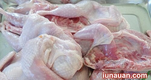 Ảnh minh họa 4 - Vừa giòn vừa ngon món chim cút chiên vàng cả nhà đều mê !