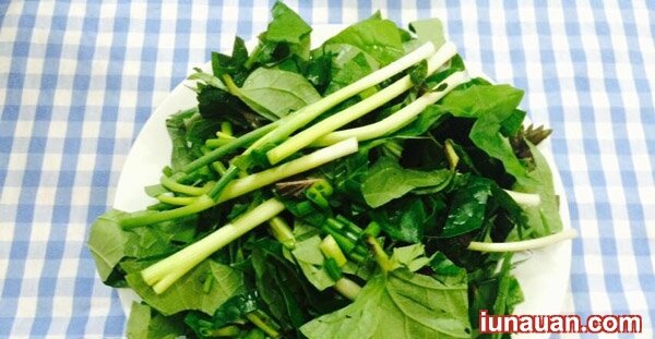 Ảnh minh họa 9 - Cách làm lẩu ếch măng cay đậm đà ngon tuyệt cho ngày cuối tuần se lạnh !