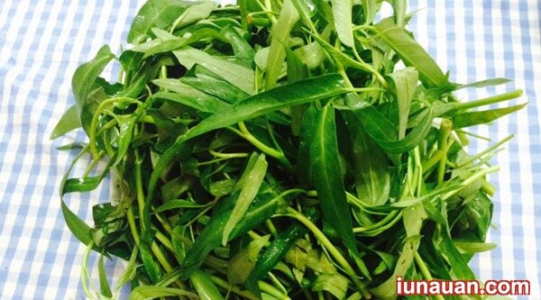 Ảnh minh họa 10 - Cách làm lẩu ếch măng cay đậm đà ngon tuyệt cho ngày cuối tuần se lạnh !