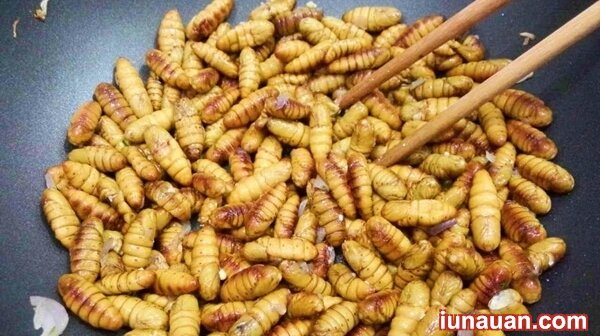 Ảnh minh họa 6 - Cách làm món nhộng tằm rang lá chanh - một phần ký ức tuổi thơ !