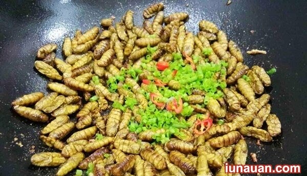 Ảnh minh họa 8 - Cách làm món nhộng tằm rang lá chanh - một phần ký ức tuổi thơ !