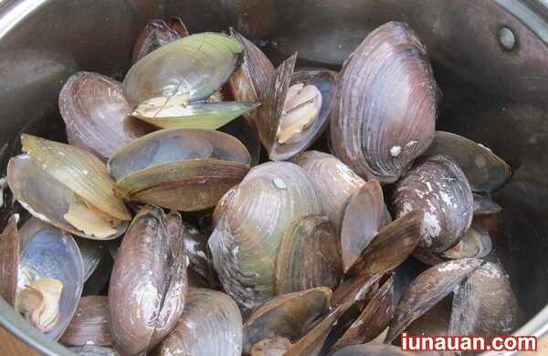 Ảnh minh họa 3 - Thơm ngọt dễ ăn với món canh trai nấu bầu càng ăn càng nghiền !