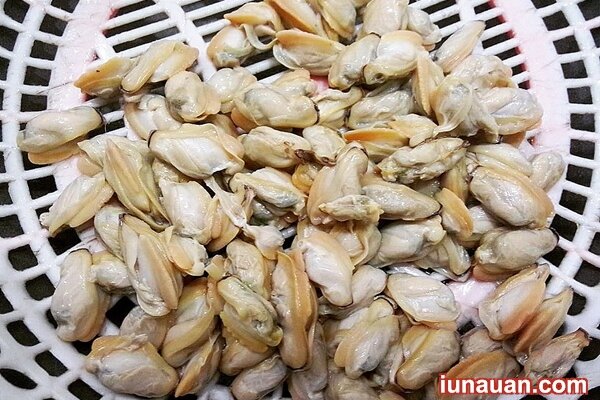 Ảnh minh họa 3 - Chua chua thơm thơm món canh trùng trục nấu dứa giản dị mà ngon cơm !