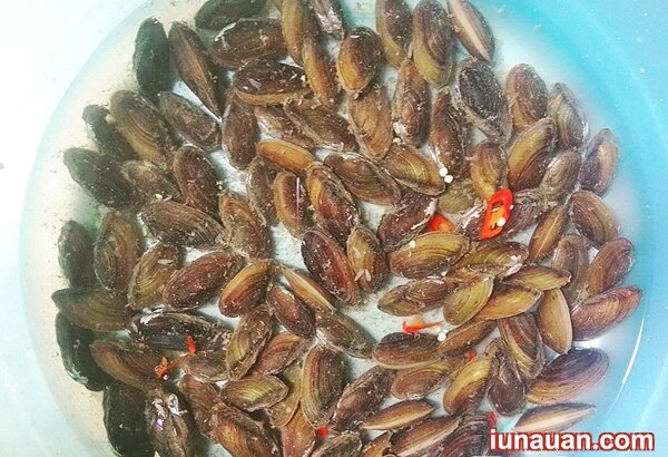 Ảnh minh họa 2 - Chua chua thơm thơm món canh trùng trục nấu dứa giản dị mà ngon cơm !