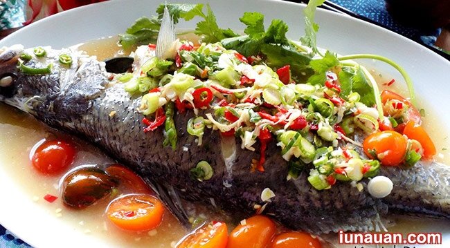 Ảnh minh họa 2 - Cách làm món cá vược hấp tỏi ớt nóng hổi cho ngày se lạnh !