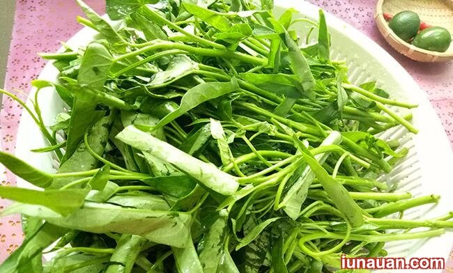 Ảnh minh họa 3 - Bí kíp làm món nộm rau muống dân dã, chuẩn vị không bao giờ chán !