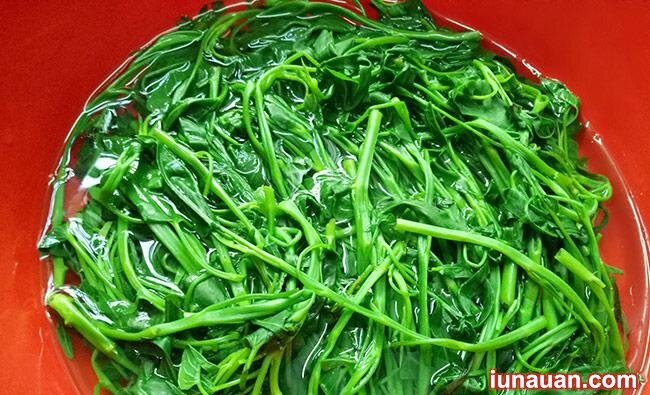 Ảnh minh họa 5 - Bí kíp làm món nộm rau muống dân dã, chuẩn vị không bao giờ chán !