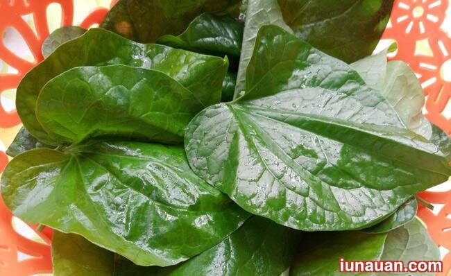 Ảnh minh họa 5 - Hướng dẫn cách làm món chả mực cuộn lá lốt nướng ngon tuyệt cú mèo cho cả nhà mê mẩn