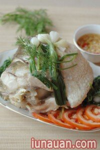 Ảnh minh họa 5 - Cá hấp bia nóng hổi thơm ngon cho ngày lạnh