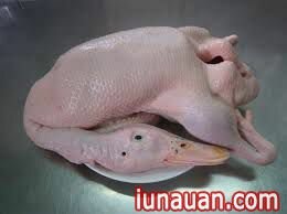 Ảnh minh họa 1 - Lẩu vịt măng cay ngon tuyệt càng ăn càng nghiền!