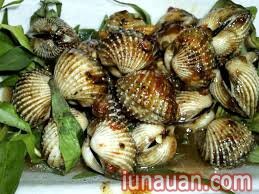 Ảnh minh họa 2 - Nhâm nhi những món ngon từ sò huyết ngon tuyệt cú mèo!